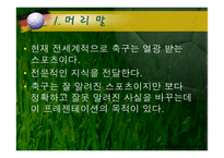 전 세계가 열광하는 축구-3