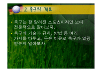 전 세계가 열광하는 축구-4