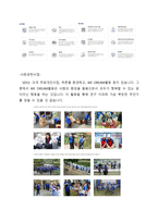 기업 삼성 SDI 레포트-5