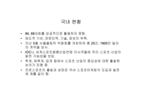 스포츠마케팅 레포트-13
