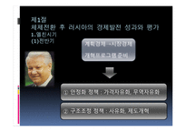러시아의 체제 전환과 경제발전-3