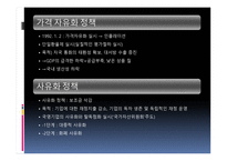 러시아의 체제 전환과 경제발전-4