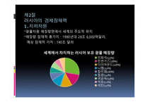 러시아의 체제 전환과 경제발전-11
