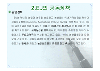 유럽의 지역경제-7