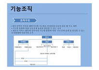 국제화 진행단계 기준 국제조직유형-3