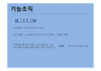 국제화 진행단계 기준 국제조직유형-5