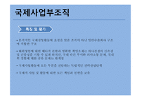 국제화 진행단계 기준 국제조직유형-8