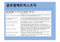 국제화 진행단계 기준 국제조직유형-20