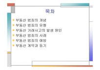 부동산 범죄 레포트-2