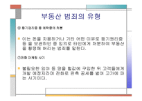 부동산 범죄 레포트-9