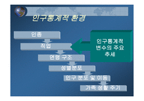 거시환경 분석 레포트-12