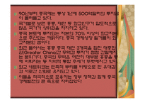종족 네트워크 화교-14