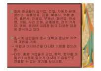 종족 네트워크 화교-19