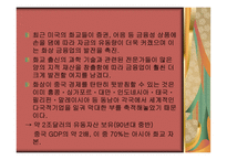 종족 네트워크 화교-20