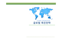 글로벌 촉진 전략보고서-1