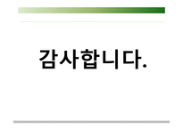 글로벌 촉진 전략보고서-20