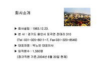 에버랜드 기업분석-4