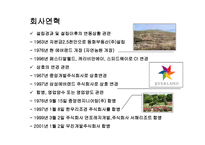 에버랜드 기업분석-8