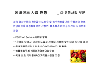 에버랜드 기업분석-14
