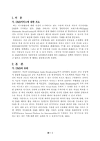 위성 DMB방송에 관하여-2