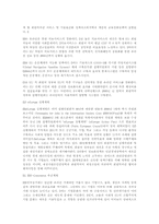 유럽(EU)의 정보화 정책-9