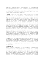 [마케팅] 이랜드`who.a.u`후아유의 마케팅커뮤니케이션-11