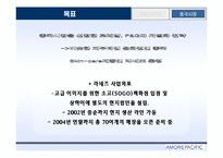 [pr론] 태평양 해외진출 pr성공사례분석-10
