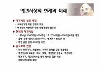[마케팅] 애견호텔 마케팅전략-2