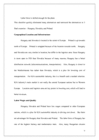 [국제경영] 기아자동차 헝가리 해외진출전략(영문)-9