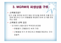 [수학과 현대사회] MGRM 실패 사례 분석-상품선물스택헤지-9