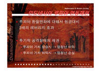 [금융사건사고] 다이아몬드펀드-15