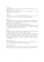 [경영정보시스템] MP3플레이어 아이리버(레인콤)와 아이팟(애플) 비교분석-15