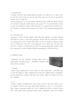 우리의 고유문화 - 한지-9