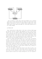 [사회운동] 온라인 사회운동-17