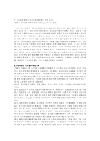 [정보사회] 우리나라 전자정부의 문제점과 해결책-10