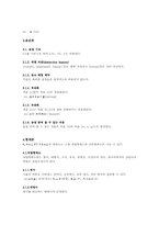 [언어학] 문자의 발명-4