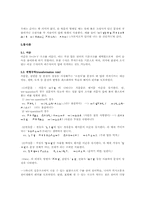 [언어학] 문자의 발명-8