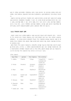 [세계언어] 인도의 언어정책- 인도의 다언어 현상과 그 정책-8