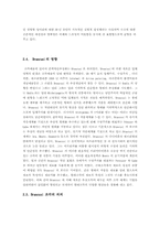 [조각사] 추상조각의 브랑쿠지 작품세계와 의의-11