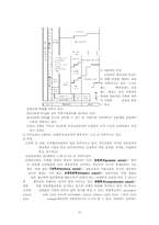 [한국교육제도] 학교교육제도-11