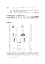 [한국교육제도] 학교교육제도-12