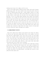 [마케팅] 생리통완화제 루나 신제품개발전략-2