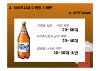 [마케팅제안서] 패트병맥주 비교 분석 및 하이트피처 마케팅 방안 기획서-10