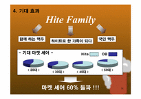 [마케팅제안서] 패트병맥주 비교 분석 및 하이트피처 마케팅 방안 기획서-15
