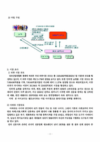 [사업계획서] 인터넷 전문 코디사이트-4