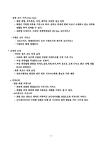 [사업계획서] 인터넷 전문 코디사이트-13
