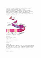 [성인간호학] 근골격계의 해부생리와 간호사정과 진단.임상진단법-5