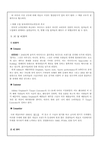 [스포츠마케팅조사론] 캐포츠룩(캐주얼과 스포츠룩) 마케팅조사 - 아디다스와 리바이스-7