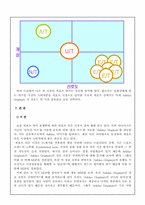 [스포츠마케팅조사론] 캐포츠룩(캐주얼과 스포츠룩) 마케팅조사 - 아디다스와 리바이스-10