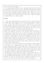 [스포츠마케팅조사론] 캐포츠룩(캐주얼과 스포츠룩) 마케팅조사 - 아디다스와 리바이스-11